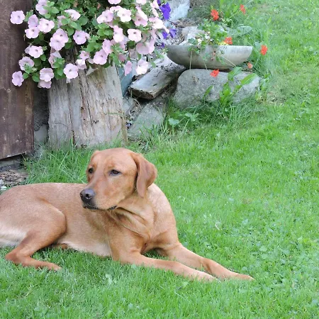 Apartament Brandnerhof